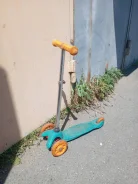 ��������. ����