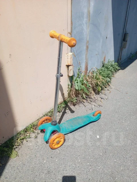 ��������. ����