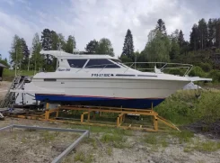Flipper. 2002 ���, ����� 10��., ��������� ������������, 300��.�., ������ ����
