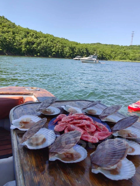 Searay. 1989 ���, ����� 12��., ��������� ������������, 400��.�., ������ ����