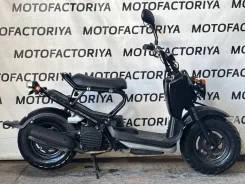 Honda Zoomer. 49����. ��., ��������, ��� ���, ��� ������� ����