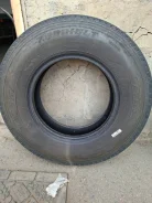 Austone. ������, 2023 ���, �/�, ����� �� 5 % ����
