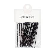 ������� (20��) ������ ������ GT ���������� 1 ��. DVL ����