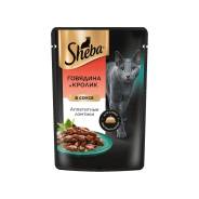 ���� �/����� ��������,������ ������� � ����� 75��. Sheba ����