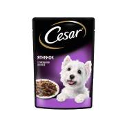 ���� �/����� ����.����� �������,����� ������� � ����� 85��. Cesar ����