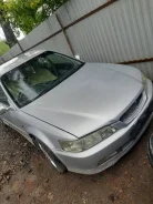 Honda Accord ����