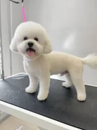 �������. ����