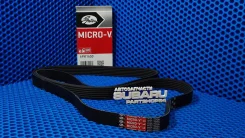 ������ ���������� 809221120 Gates Gates 6PK1650 6PK1650 ����