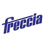 ������ ��������� 28x5.5x107.7 Renault Laguna 1.4/1.6 16V 00 Freccia R6030R ����