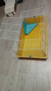 ������. ����