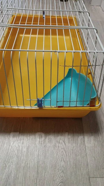 ������. ����