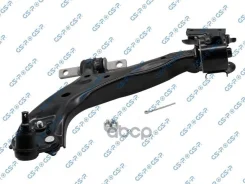 ����� �������� ����� GSP ���. s062979 S062979 ����