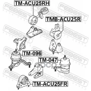 ������� ��������� �������� Tmacu25FR TMACU25FR ����