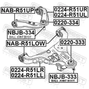 ����� �������� 0224-R51LL 0224R51LL 0224R51LL ����