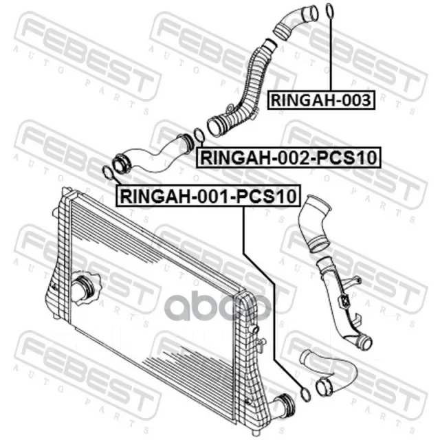 ������ �������������� Febest ���. Ringah-002-PCS10 RINGAH002PCS10 ����