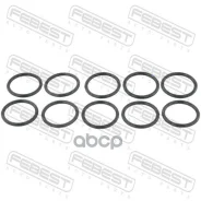 ������ �������������� �������������� ��������� (10 ��. � ��������) Febest Ringol017PCS10 RINGOL017PCS10 ����