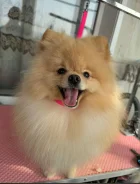 ����� � ����� ���� ����� ����