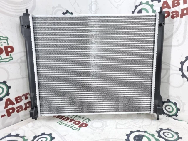 �������� Nissan JUKE NS0015 ����