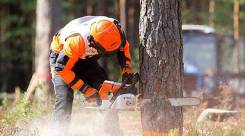 �������� ��������. ��� "���-��". ����������� ����� ����