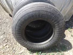�����������. �����������, 2008 ���, ����� ����
