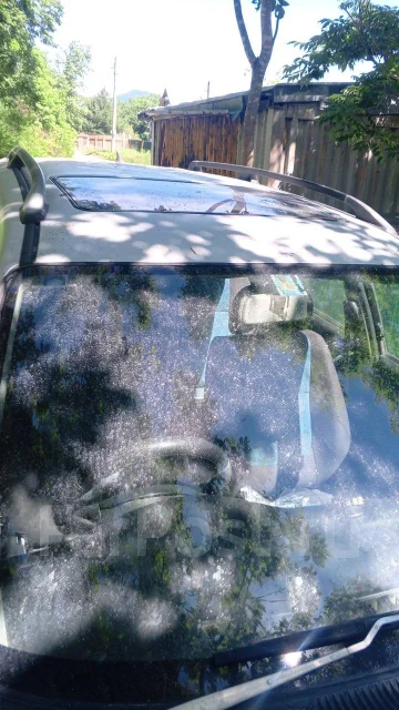 Nissan Wingroad. �������, 4wd, ������, 300 000����. �� ����