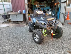 Grizzly 200. ��������, ��� ���\���, �� ����