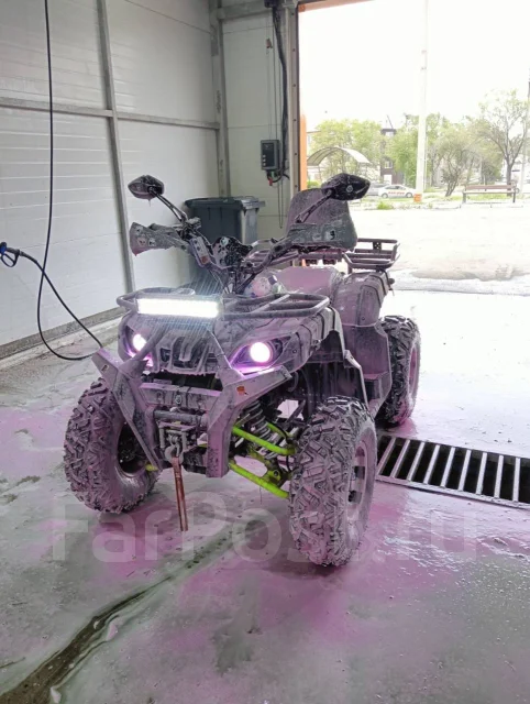 Grizzly 200. ��������, ��� ���\���, �� ����