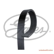 ������ ������������ XF 68429 Gates 6PK1803 6PK1803 ����