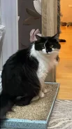�����. ����
