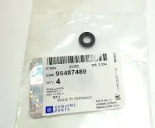 �������������� ������ ��������� �������� General Motors 96487489 96487489 ����