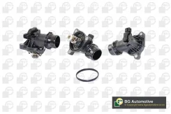 ��������� ct5031 BG Automotive CT5031 ����