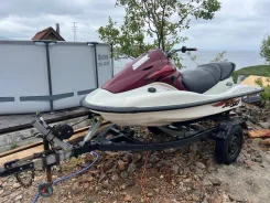 Kawasaki STX 900. 2002 ��� ����