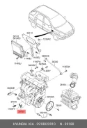 ������ ��������� ����������� ���� 3918023500 ��� Hyundai Elantra, Hyundai Tucson, Hyundai Coupe/Tiburon Hyundai hyundai-kia 39180-23910 3918023910 ���...