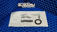 ������ ��������� � ����������� Subaru 10991AA001 10991AA001 ����
