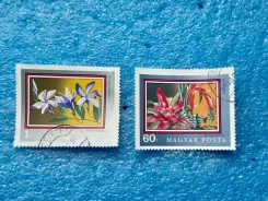 ����� ����� - ����� - Magyar Posta - ������� - �������� ����