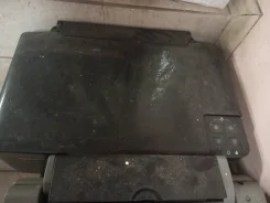 ���. ����