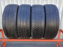 Gislaved Euro Frost 5