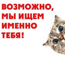 --. GSM- ( ).   14 