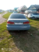 Honda Domani ����