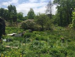 ������ ��������� ������� ������� 50 �� ������������. 33.5����., �������������� �������� �������������, �������������, �������������, ����. ���� ������...