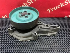 ����� ������� (�����) 2019� [21814036] [���. 86486] 21814036 ����