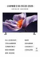 Xiaomi TV S55. Quantum Dot (QLED, NanoCell). ��� ����� �� ������������ ����