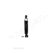 ����� ����. �������� ������ CJ521 ����
