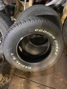 Cooper Cobra. �����������, 2019 ���, ����� ����