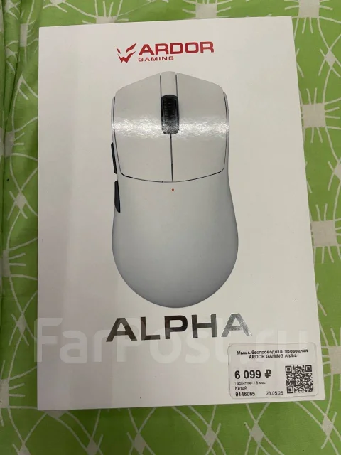 ���� �������. ����