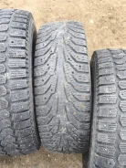 Nordman C