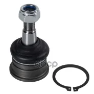 ����� ������� | ����� ����/��� | Febi ���. 43095 43095 ����