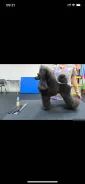 ���������� ������. ����