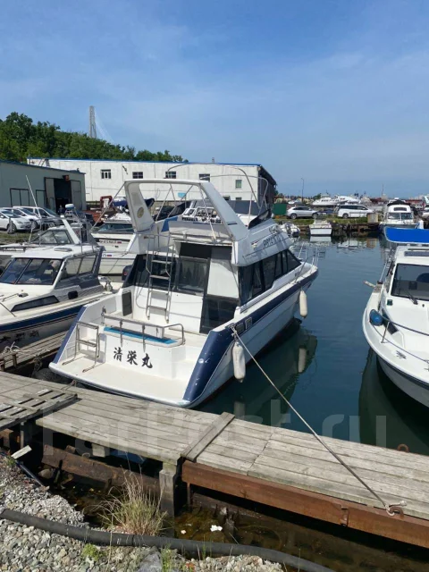 Bayliner. 1991 ���, ����� 10��., ��������� ������������, 300��.�., ������ ����