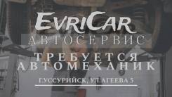 -. EvriCar   ..   5 